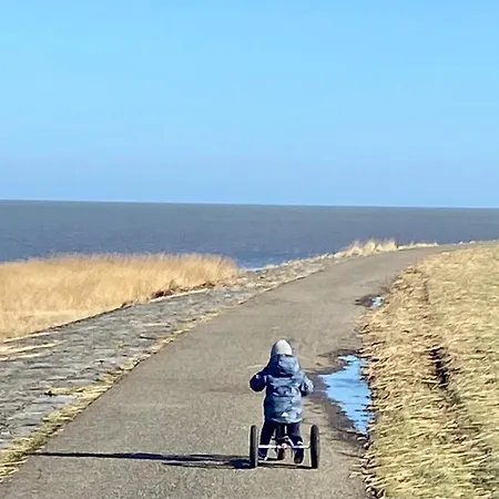 Alpesi faház Charme Logies Wad Zout 't