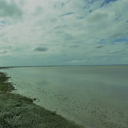 Charme Logies Wad Zout 't *