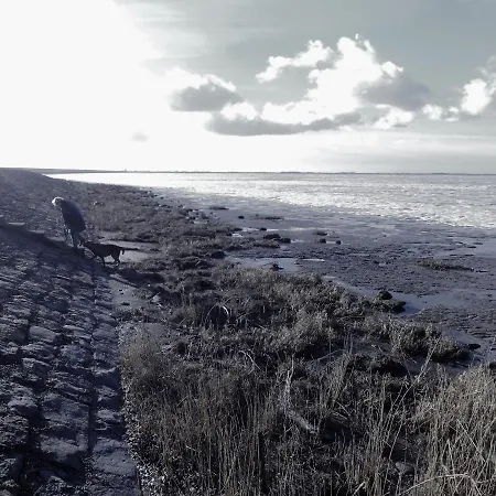 Charme Logies Wad Zout 't