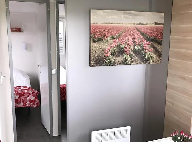 Charme Logies Wad Zout 't *