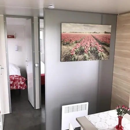 Charme Logies Wad Zout 't *